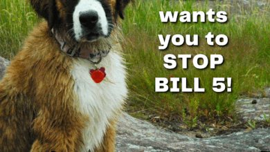 Help Hazel STOP BILL 5 in Ontario that will destroy the Endangered Species Act
