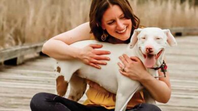 3 Small (No Cost!) Favors to Support FOR THE LOVE OF DOG