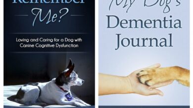 New Dog Dementia Journal (On Sale!)