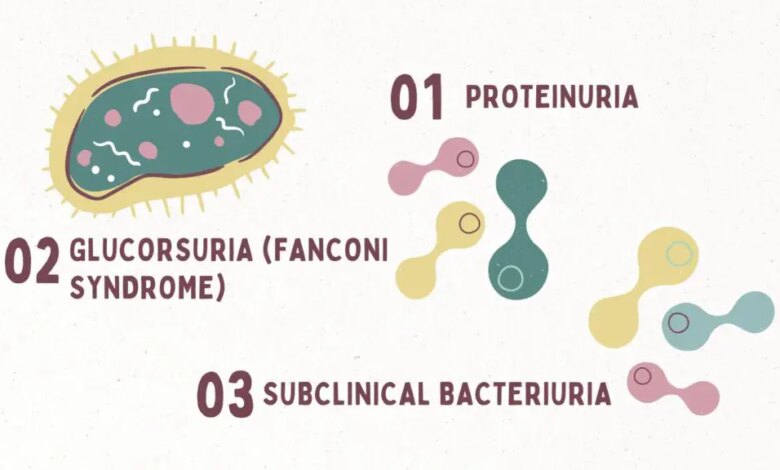 Dog Urinalysis | Champion of My Heart Dog Urinalysis | Champion of My Heart