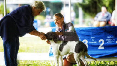 The TGK Blog – MADE for ADVENTURE