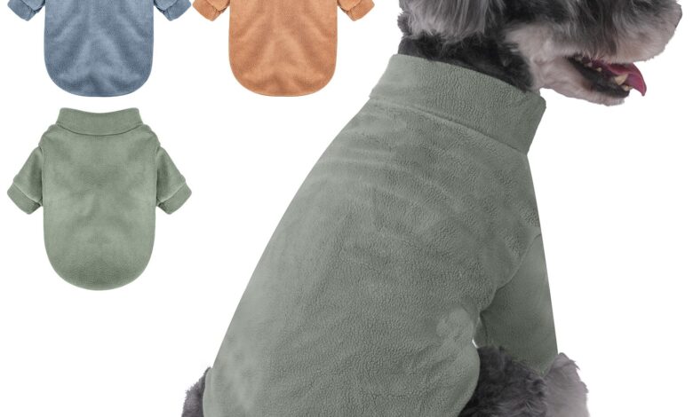 Keeping Your Furry Friend Warm • Keeping Your Furry Friend Warm •