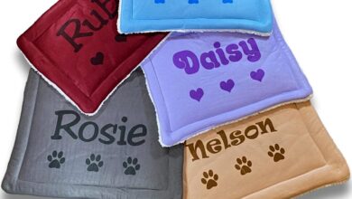 Solutions for Pampered Pooches •