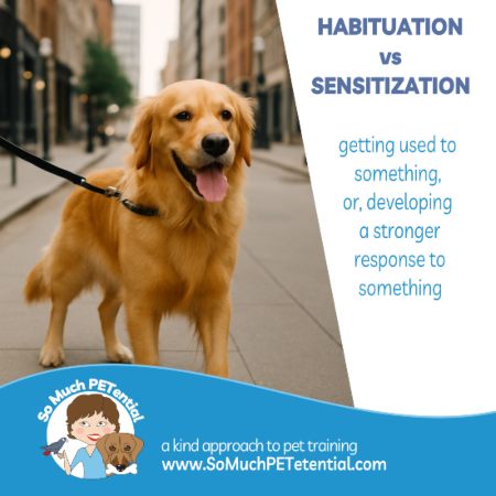 Habituation and Sensitization | So Much PETential