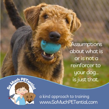 An Assumption About A Reinforcer Can Be Wrong