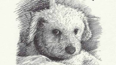 Fall Dog Book Round-Up – Oh My Dog!