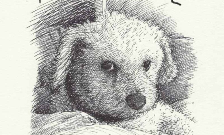 Fall Dog Book Round-Up – Oh My Dog! Fall Dog Book Round-Up – Oh My Dog!