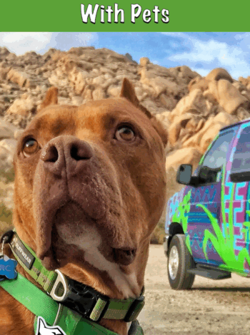 Renting An Adventure Van With Pets