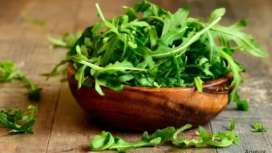 Can Dogs Eat Arugula? 5 Risks You Must Know Today