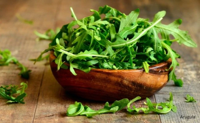 Can Dogs Eat Arugula? 5 Risks You Must Know Today Can Dogs Eat Arugula? 5 Risks You Must Know Today