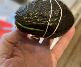 Avocados and Butterfingers – Sleeping between Giants