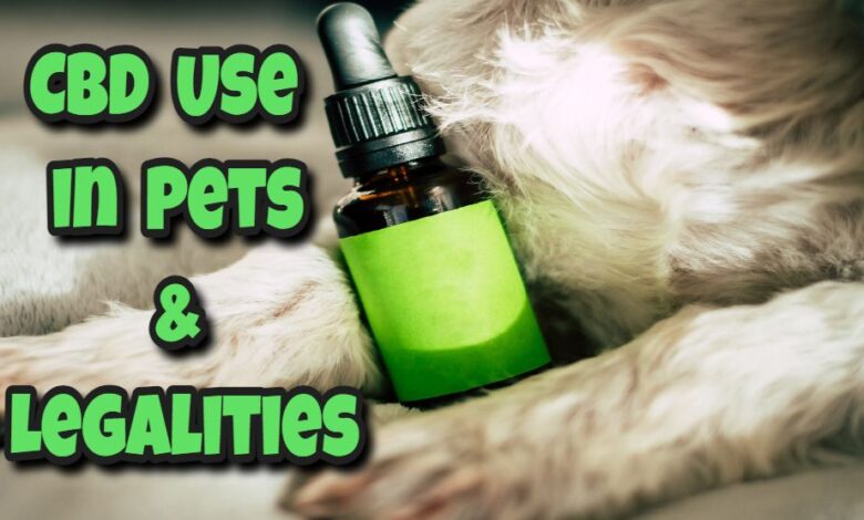 Paws and Policies: CBD Use in Pets and Its Legalities Paws and Policies: CBD Use in Pets and Its Legalities