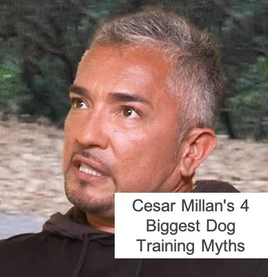 Cesar Millan’s 4 Biggest Dog Training Myths Cesar Millan’s 4 Biggest Dog Training Myths