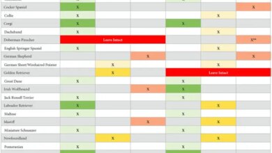 5 New Breeds Added to When to Spay or Neuter Research