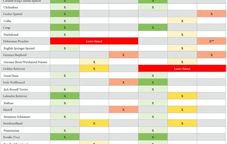 5 New Breeds Added to When to Spay or Neuter Research