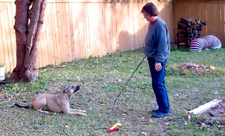 Self-Control, Impulse Control, and Stimulus Control: Widening the Conversation