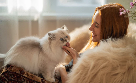 Why Do Cats Lick You? 7 Amazing Reasons Revealed!