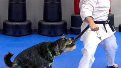 The Way of the Badass – Sleeping between Giants