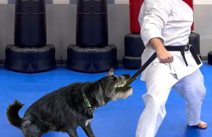 The Way of the Badass – Sleeping between Giants