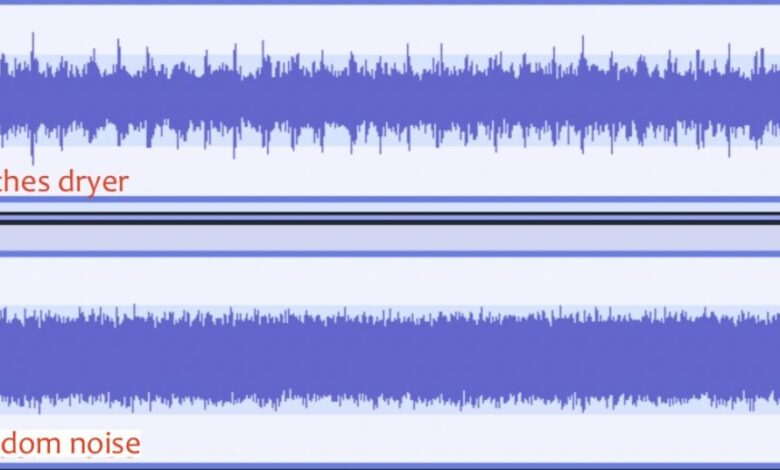 Make a Custom Recording for Your Thunder-Phobic Dog