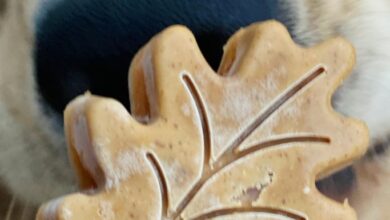 Fall Leaf Shaped Apple Peanut Butter Frozen Dog Treats