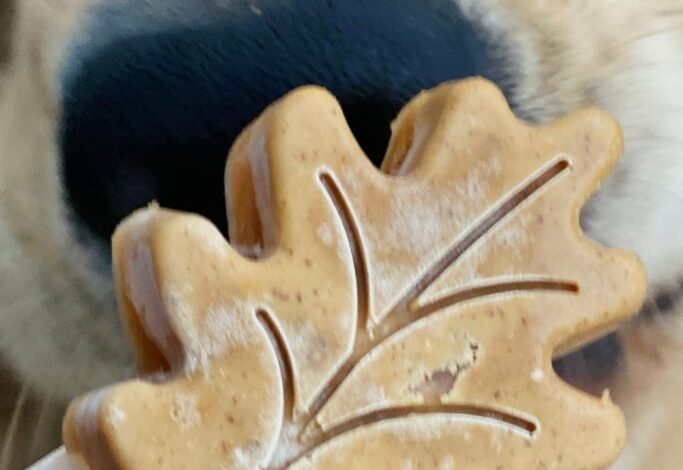 Fall Leaf Shaped Apple Peanut Butter Frozen Dog Treats Fall Leaf Shaped Apple Peanut Butter Frozen Dog Treats