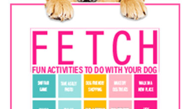 Plan a More Enriching Year for Your Dog with Fetch Fun Activities BINGO Card
