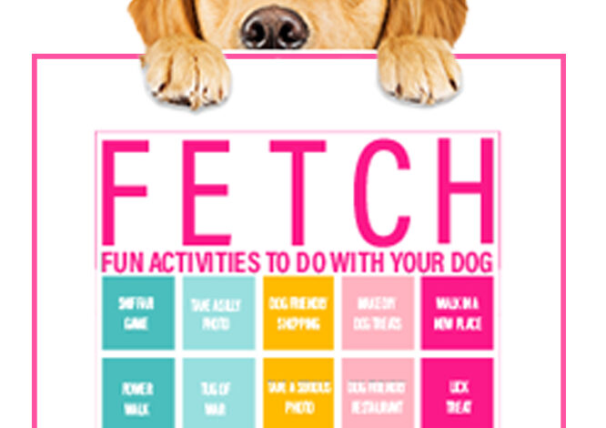 Plan a More Enriching Year for Your Dog with Fetch Fun Activities BINGO Card Plan a More Enriching Year for Your Dog with Fetch Fun Activities BINGO Card