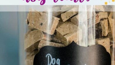 How To Store Homemade Dog Treats