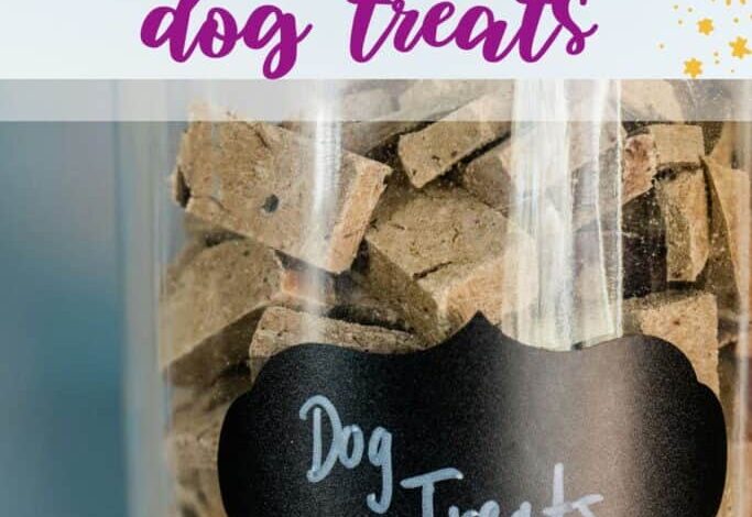 How To Store Homemade Dog Treats