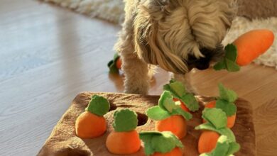 Another Best Snuffle Mat For Small Dogs