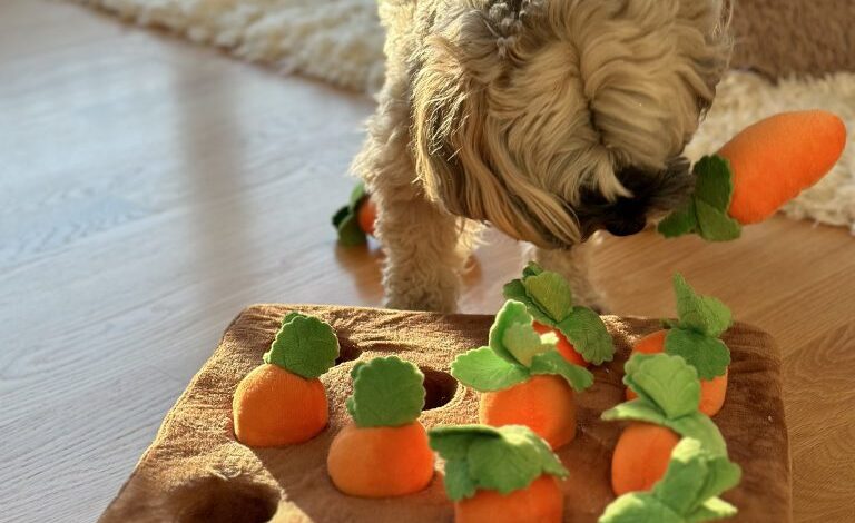 Another Best Snuffle Mat For Small Dogs Another Best Snuffle Mat For Small Dogs