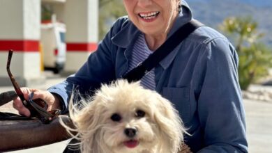 Immune Health Before the Shots