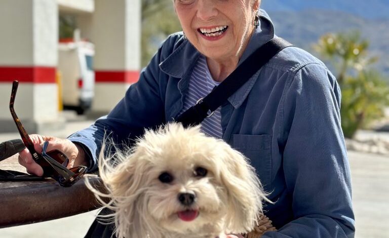 Immune Health Before the Shots