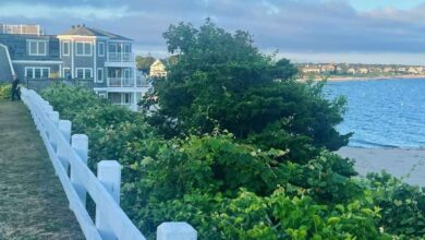 Family and Fun in Cape Cod