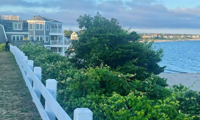 Family and Fun in Cape Cod