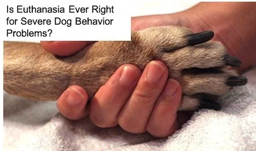 Is Euthanasia Ever Right for Severe Dog Behavior Problems? Is Euthanasia Ever Right for Severe Dog Behavior Problems?