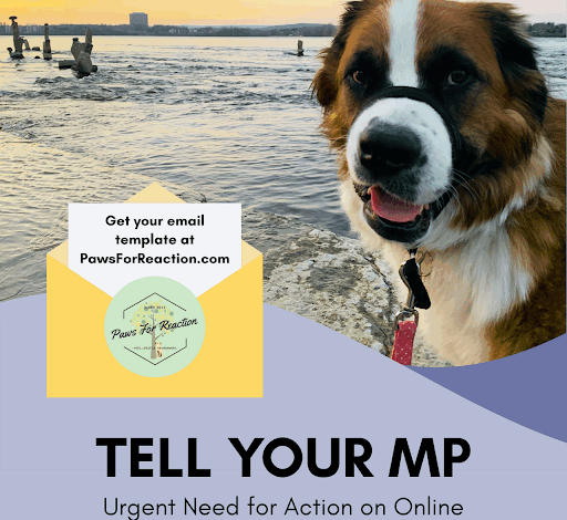 EMAIL TEMPLATE: Contact your MP about online misinformation