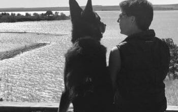 9 Great Pet Friendly Trips To Avoid Crowds