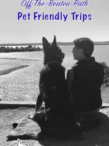 9 Great Pet Friendly Trips To Avoid Crowds