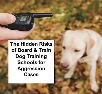The Hidden Risks of Board & Train Programs for Aggressive Dogs The Hidden Risks of Board & Train Programs for Aggressive Dogs