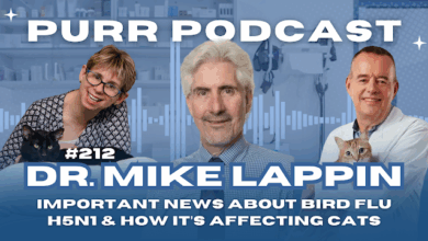 CAT OWERS MUST WATCH Purr Podcast: Bird flu in cats with Dr. Mike Lappin