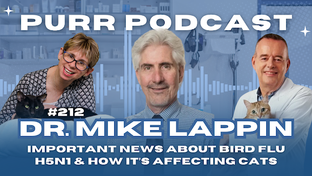 CAT OWERS MUST WATCH Purr Podcast: Bird flu in cats with Dr. Mike Lappin
