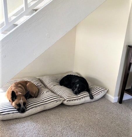 8 Under the Stairs Dog Nook Ideas to Create a Cozy Spot for Your Pup •