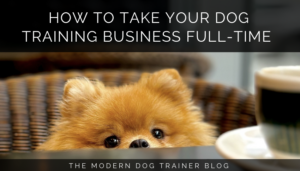 How to Take Your Dog Training Business Full Time
