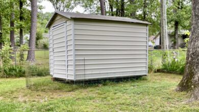 How I Saved My Dog from a Shed