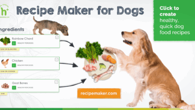 Preventing Gastric Dilation Volvulus in Dogs – Dr. Dobias Healing Solutions