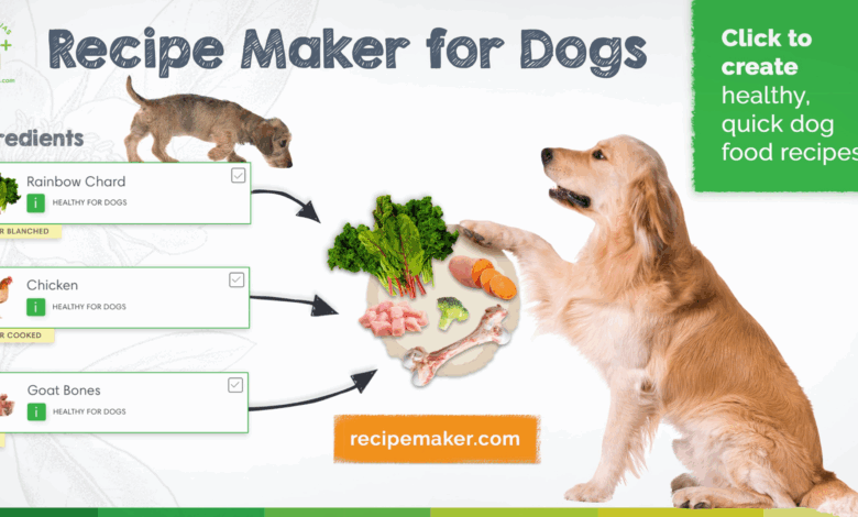 Preventing Gastric Dilation Volvulus in Dogs – Dr. Dobias Healing Solutions