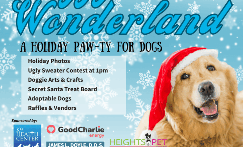 Holiday Party for Dogs – Waggy Wonderland