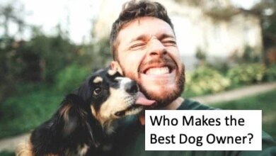 Who Makes the Best Dog Owner? The 4 Traits Every Owner Needs